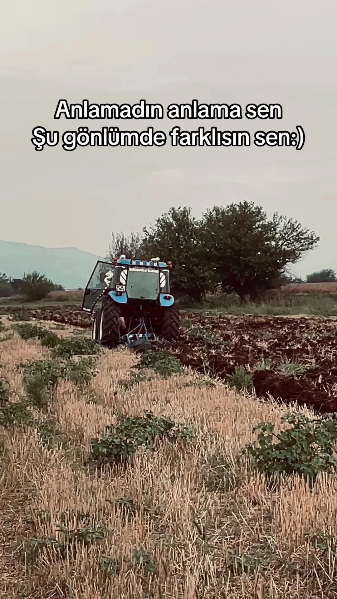 @MEHMET MLY td85 
