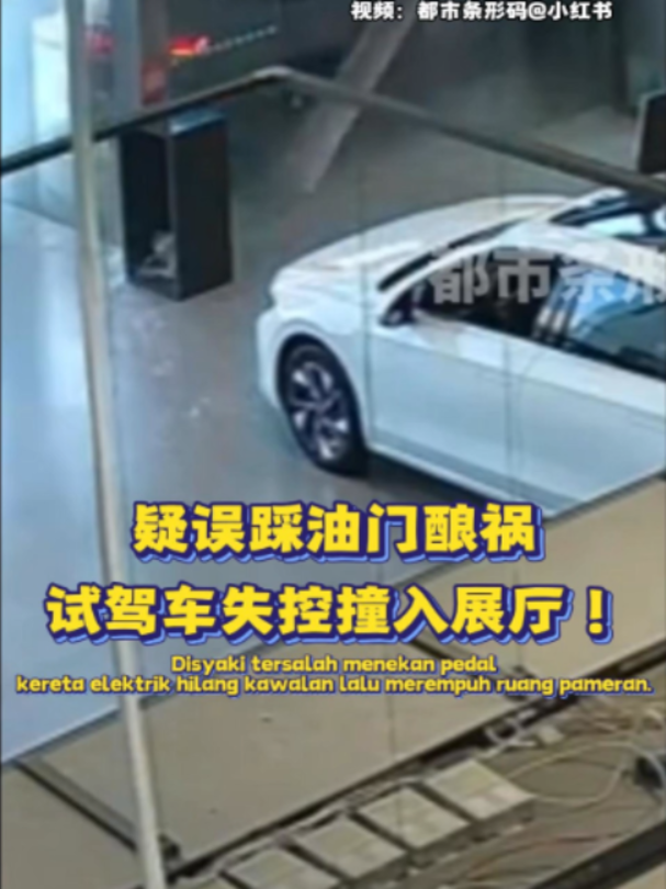 @中国报