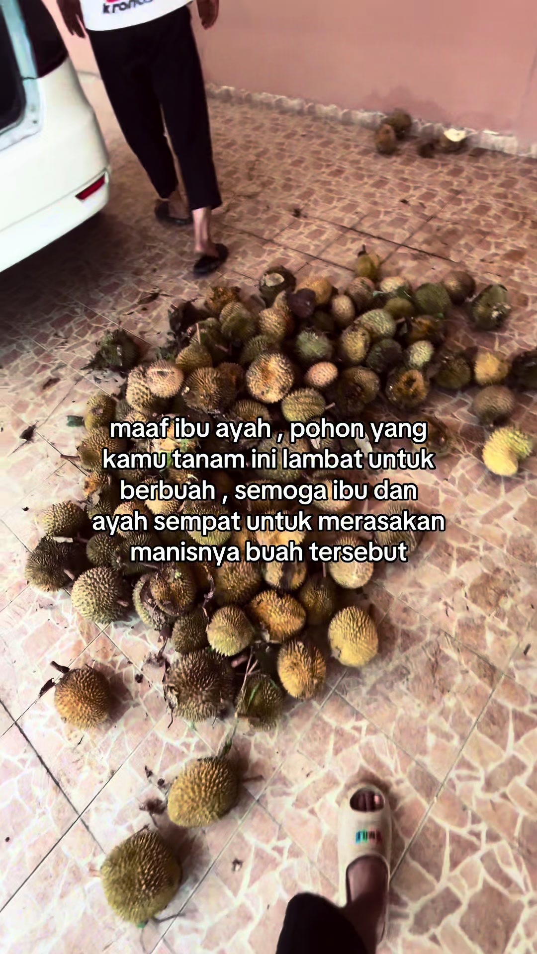@ 𝙌𝙞𝙣