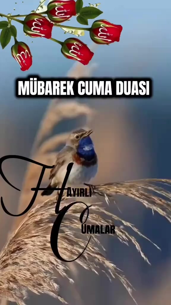 @Doğan 3851🪬🪽🪽♻️🇹🇷🐺🔥