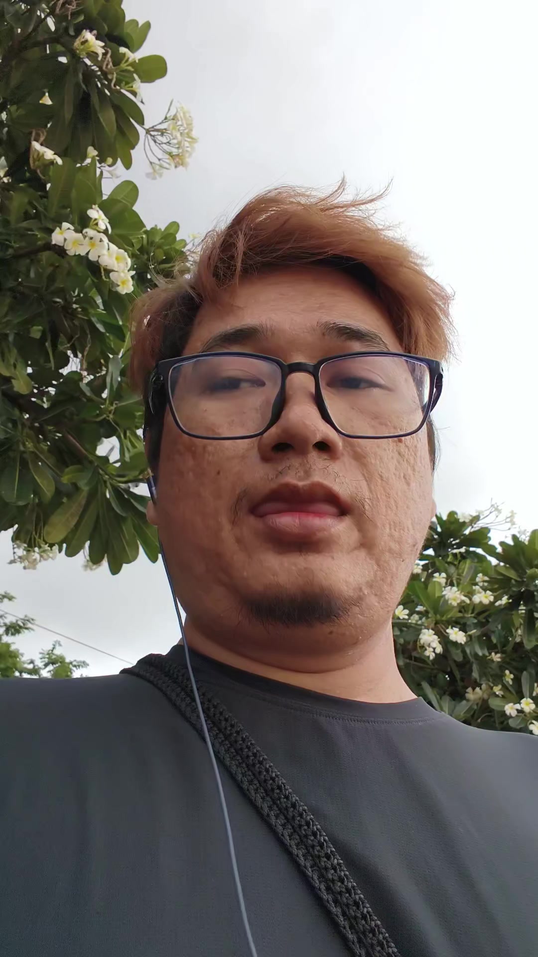 @Bichael (កុឡាបសThewalkingheel)