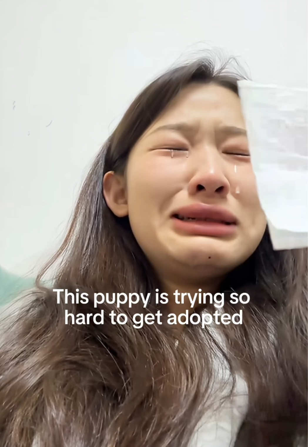 @WAGS