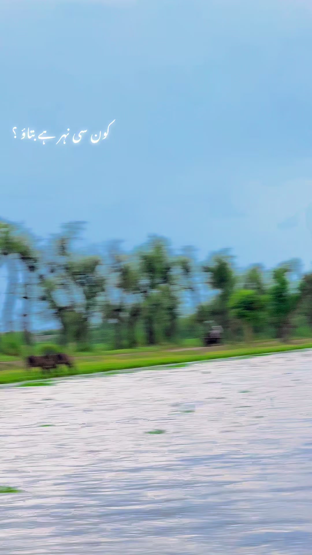 @🌾میں۔ میرا۔ پنڈ🎋