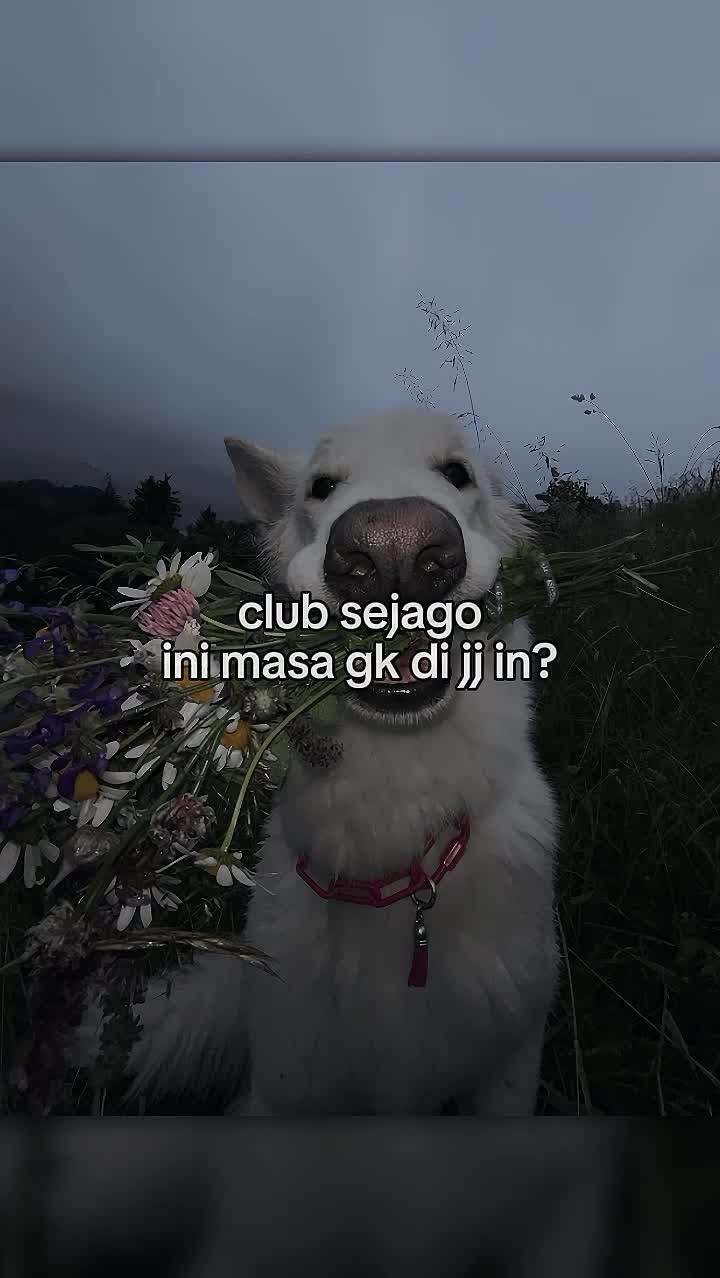 @โ
†๐ฅ๐๐๐ ๐ ๐๐๐ฅ๐๐†โ