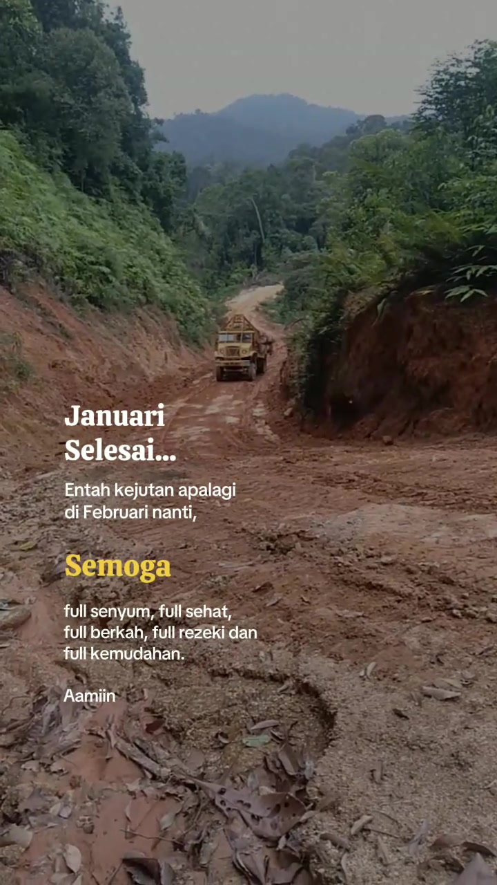 @KUCING RIMBA