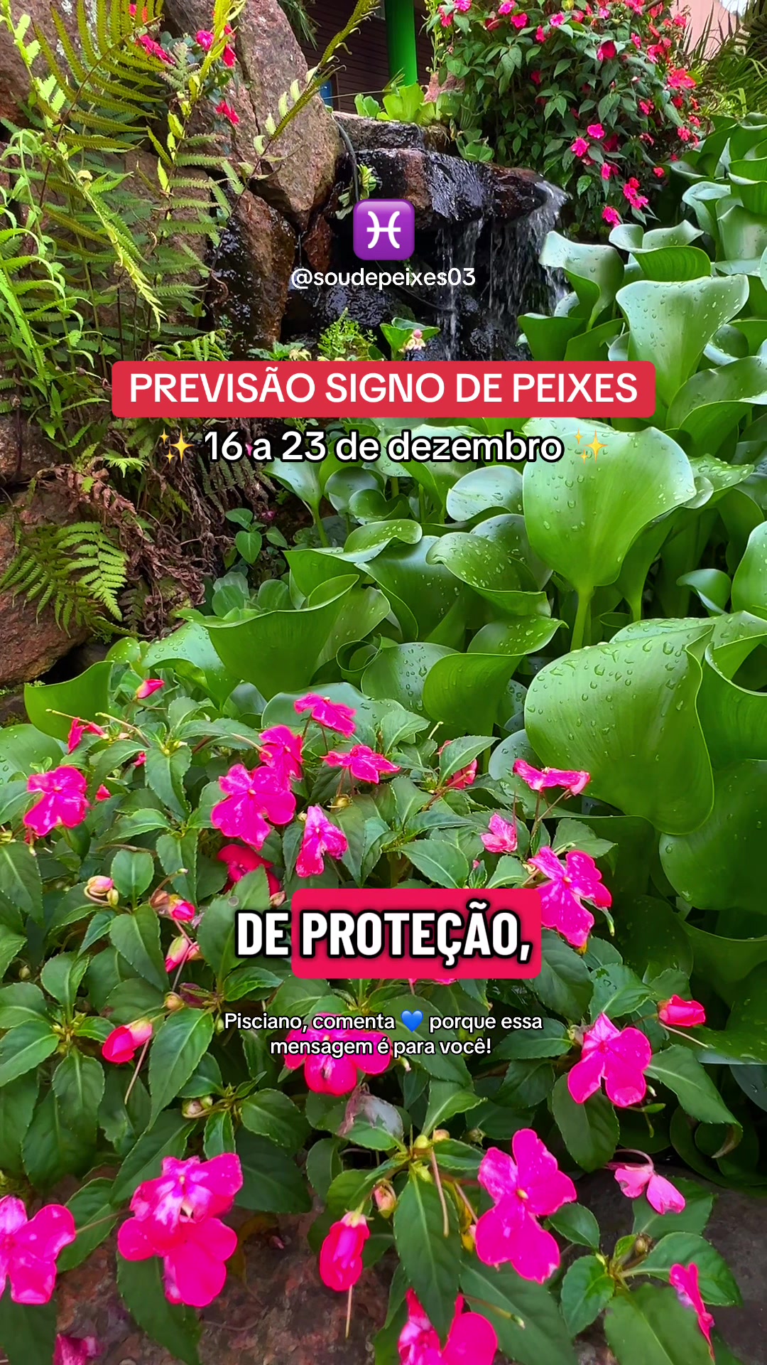 @soudepeixes