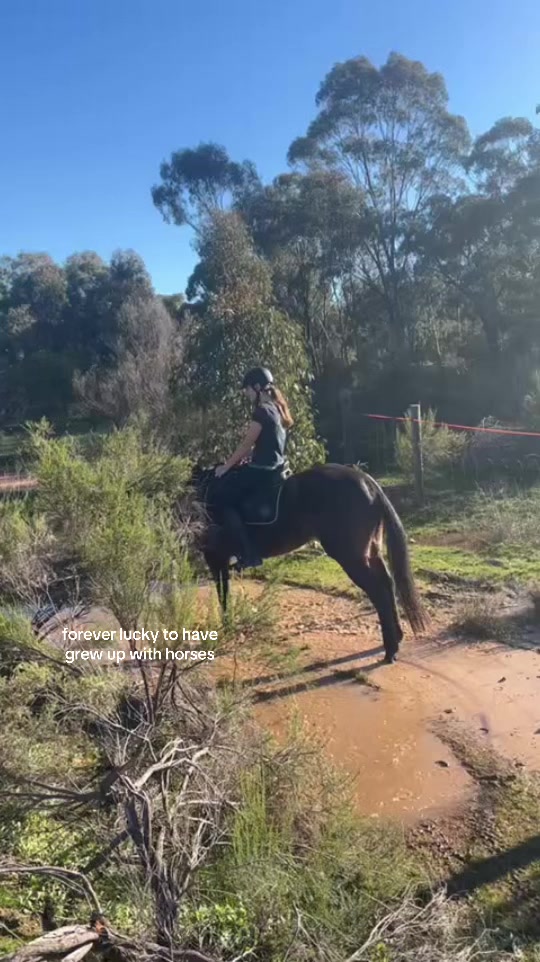 @t.equestrianxx