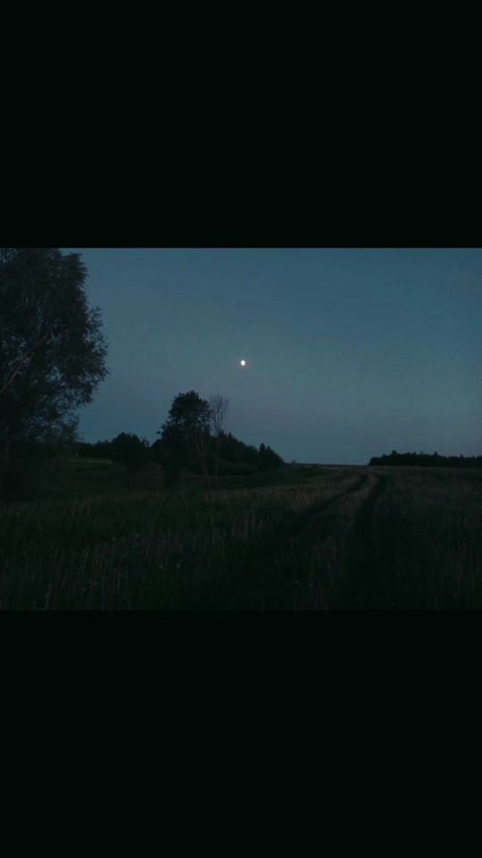 @жизнь в репостах