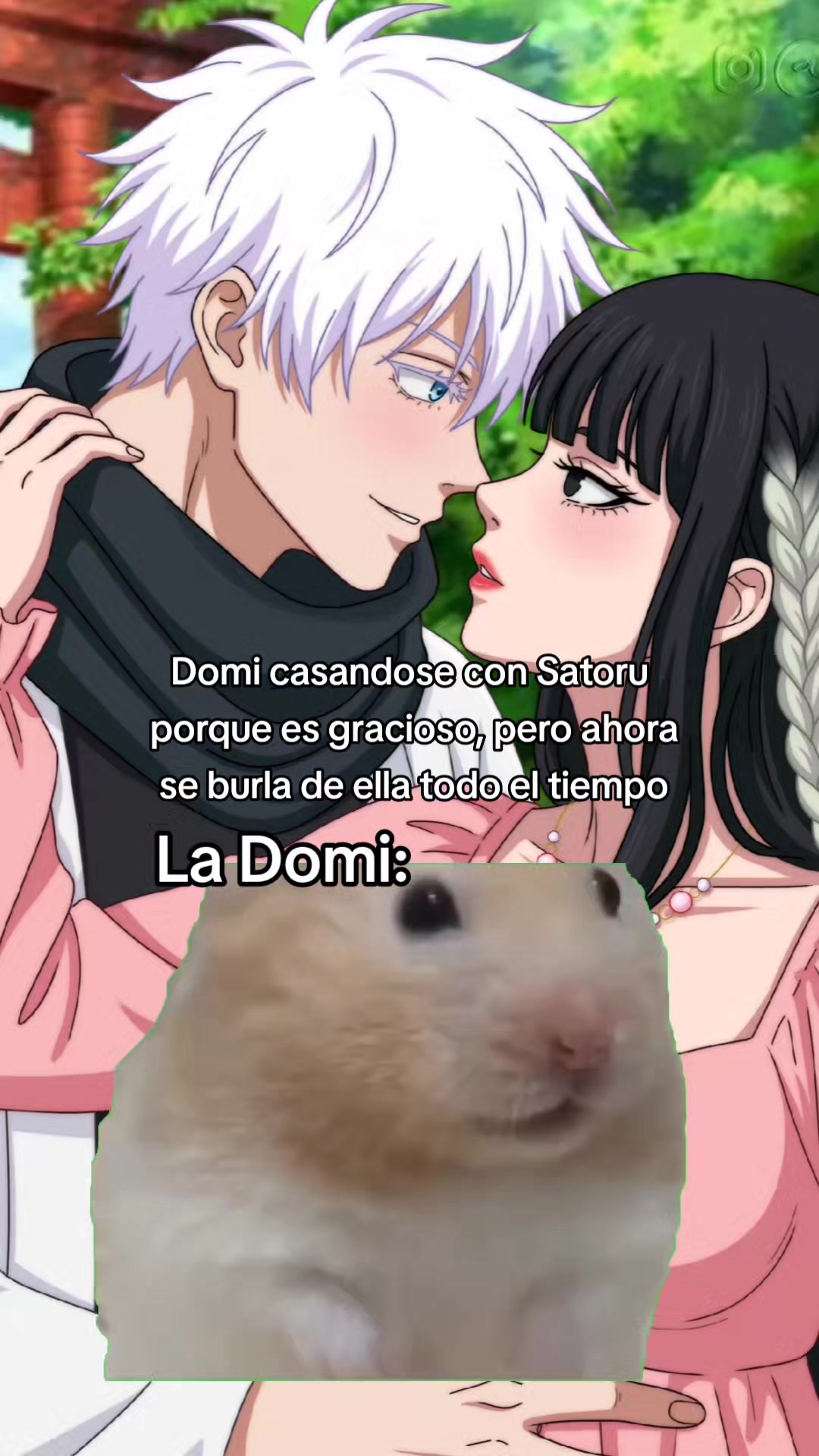 @Soy un gato escritor