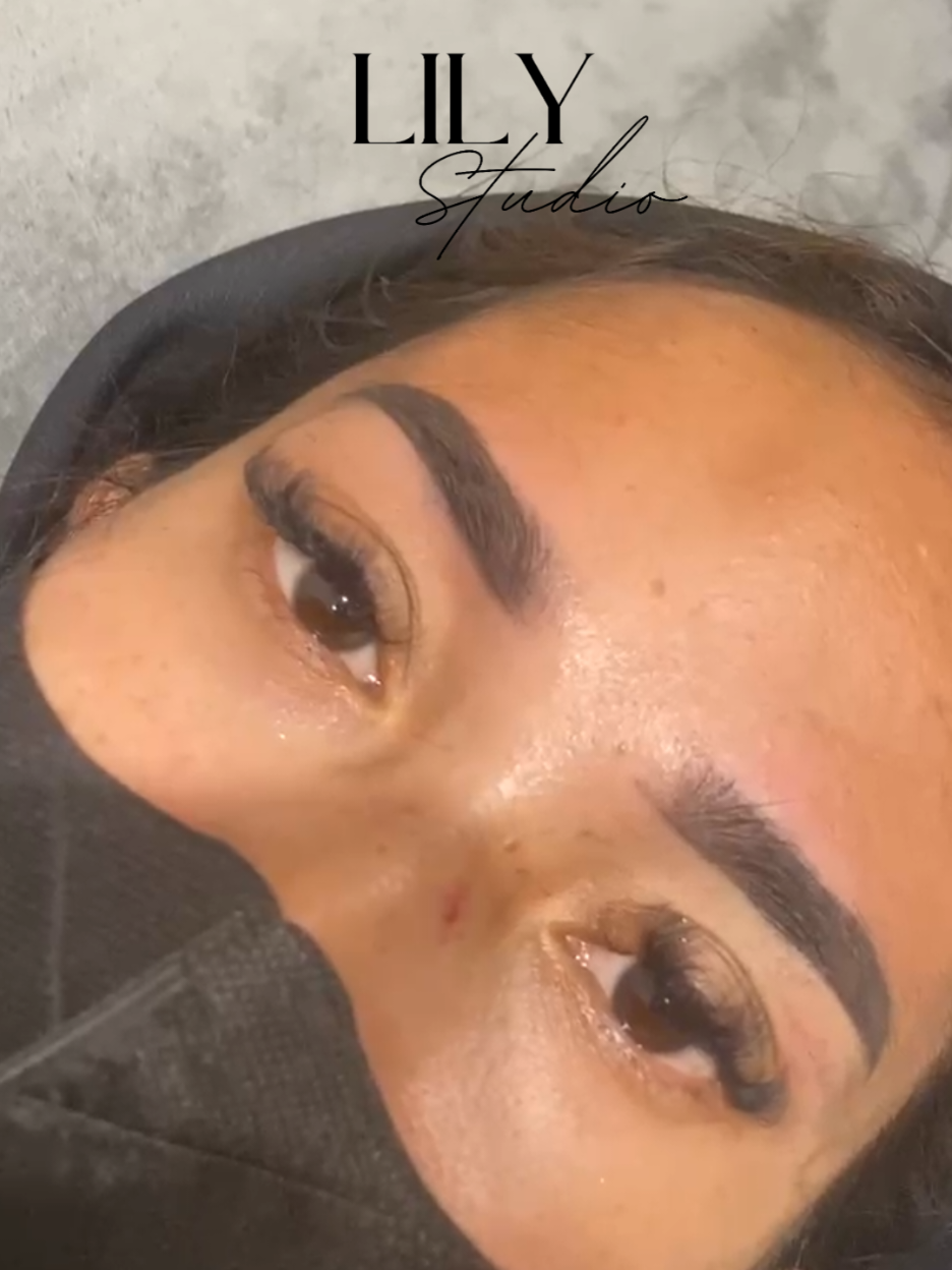 @lilystudio