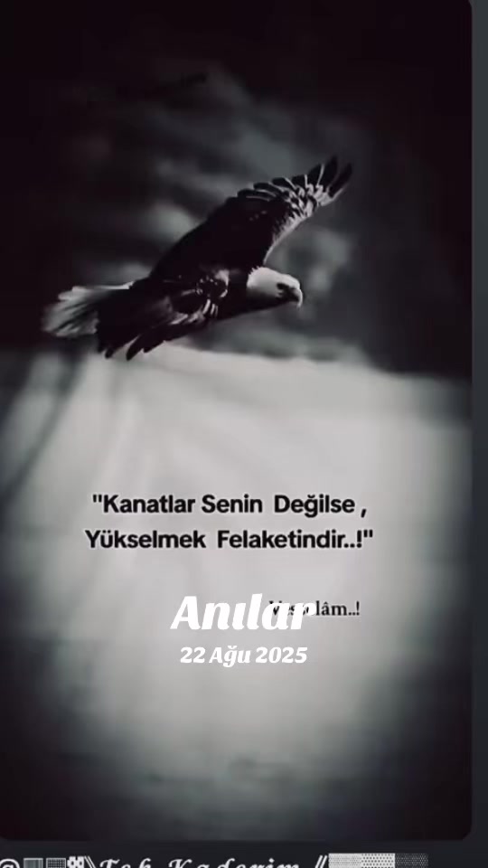 @kamilcop
