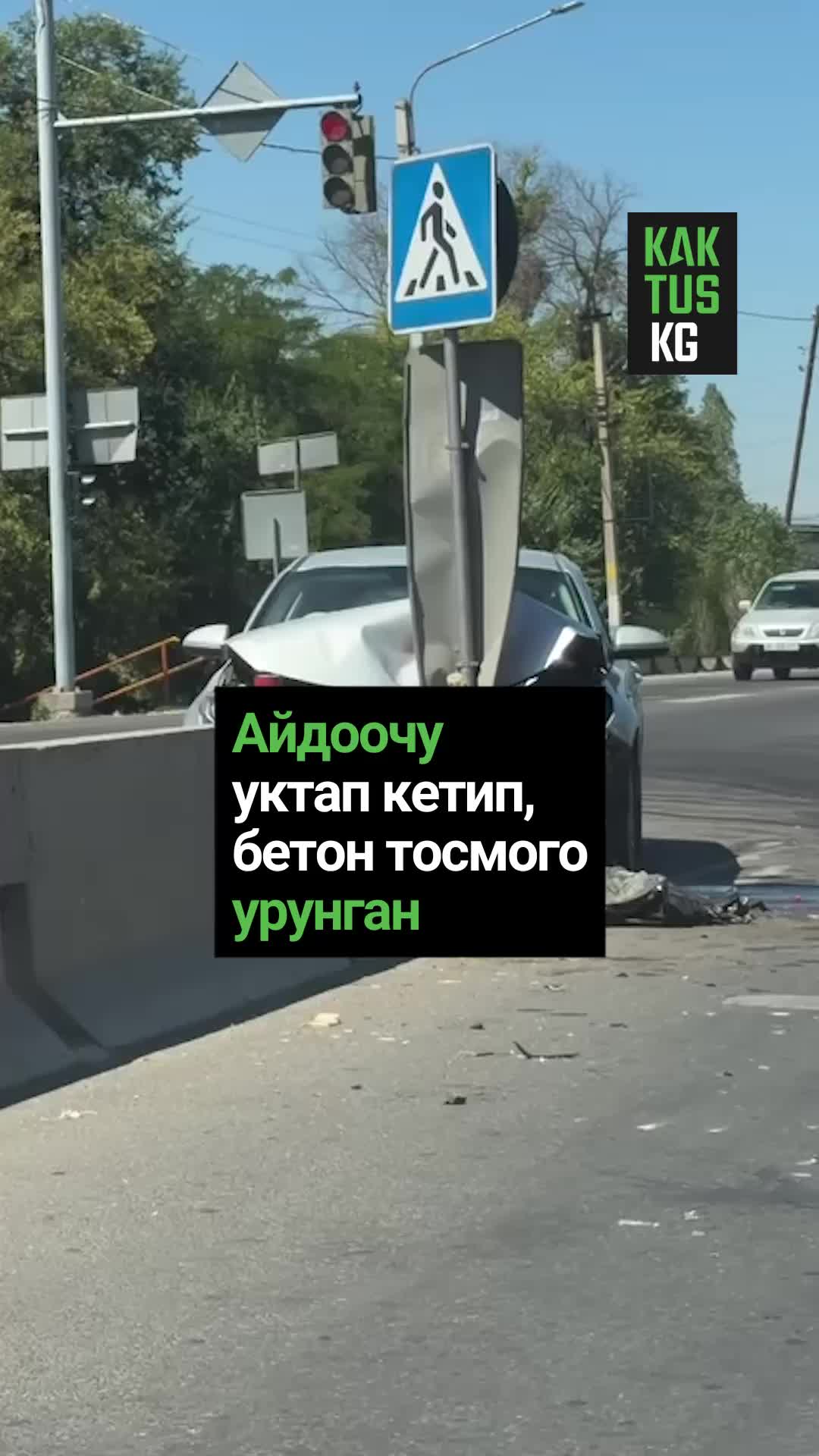 @Kaktus KG