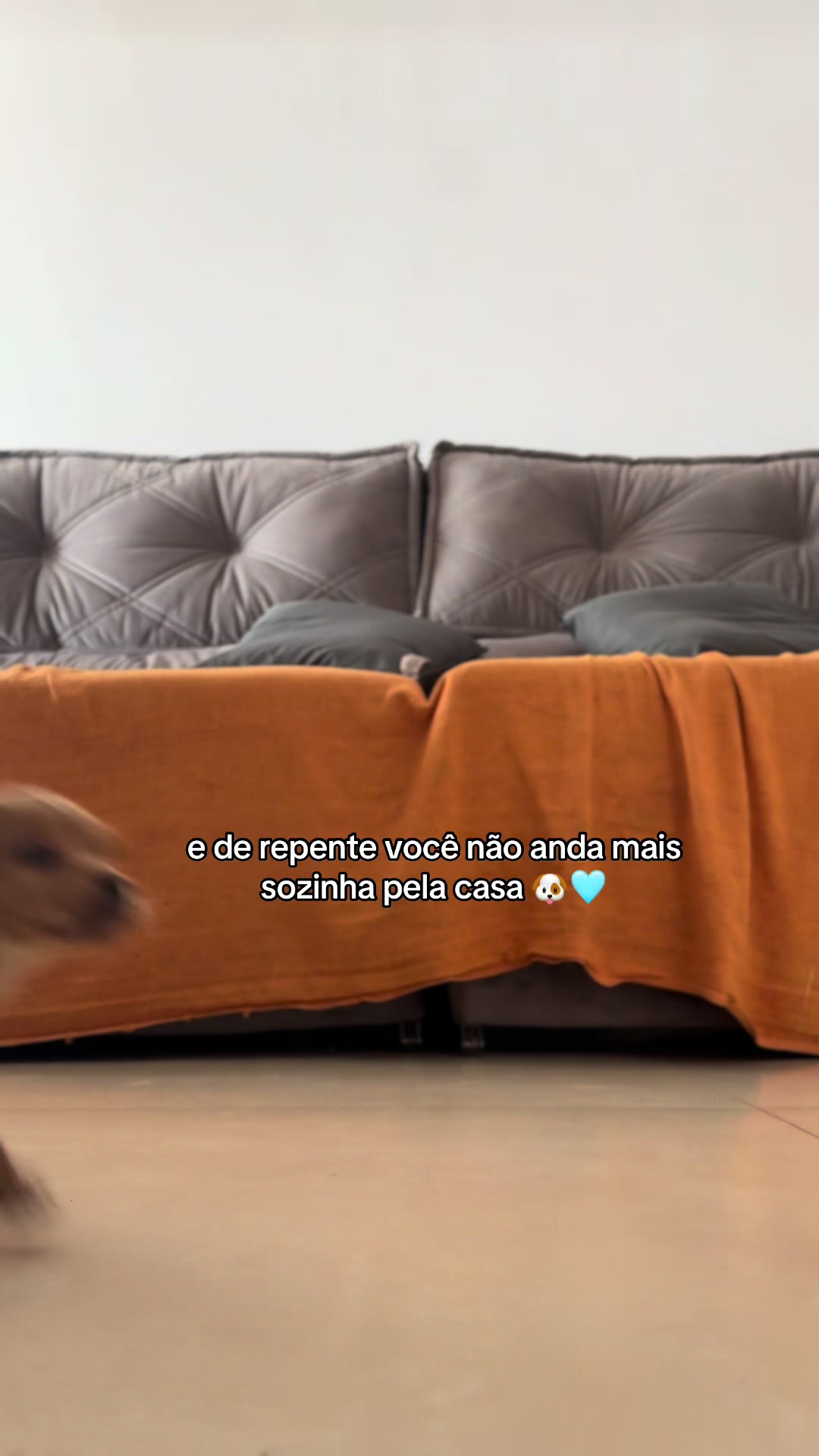 @𝐓𝐡 𝐂𝐬𝐭𐦐