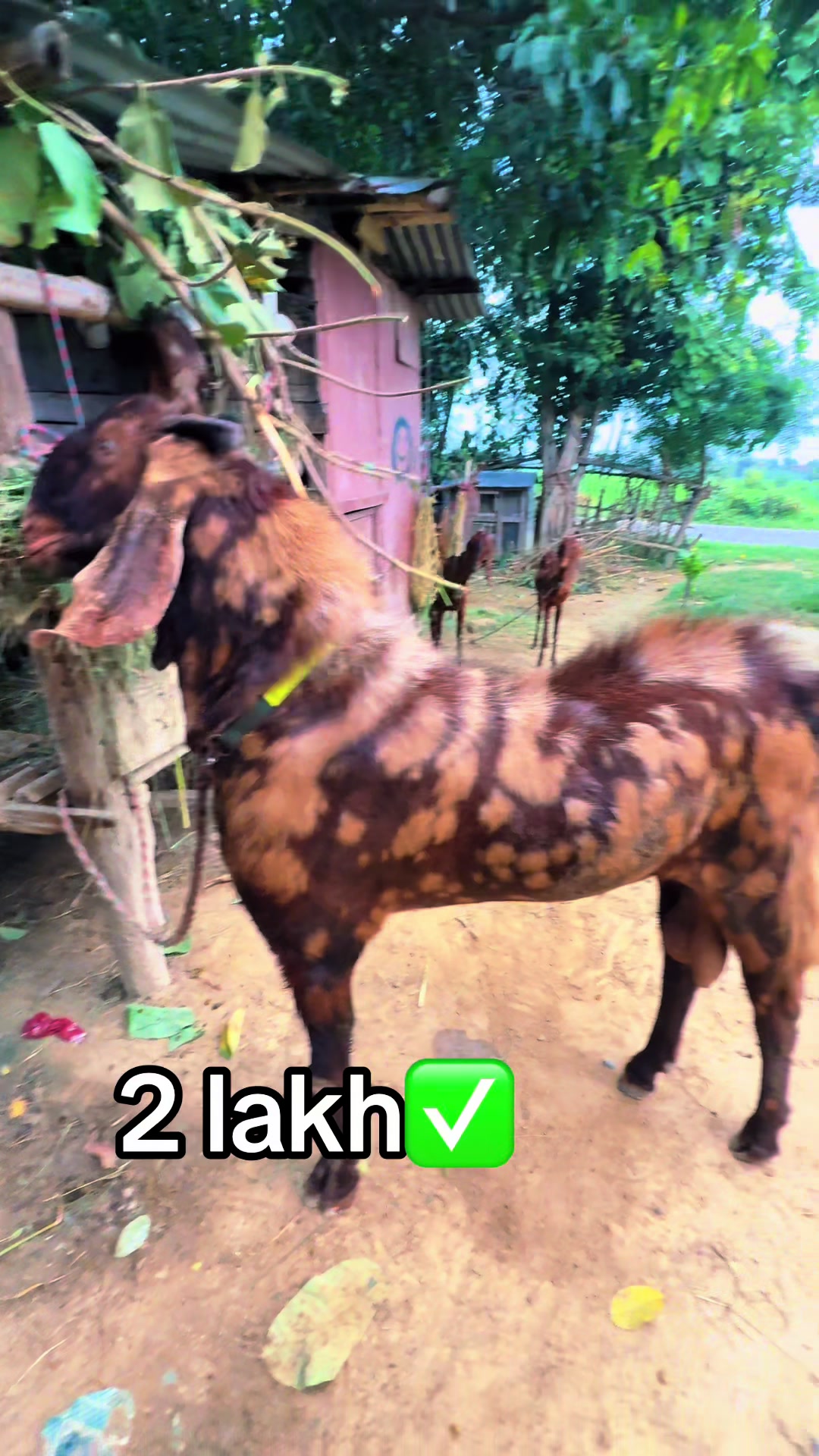 @ 🅰️nil pariyar