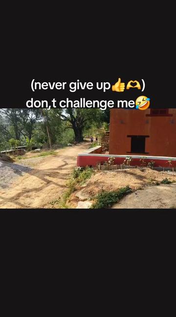@love is life