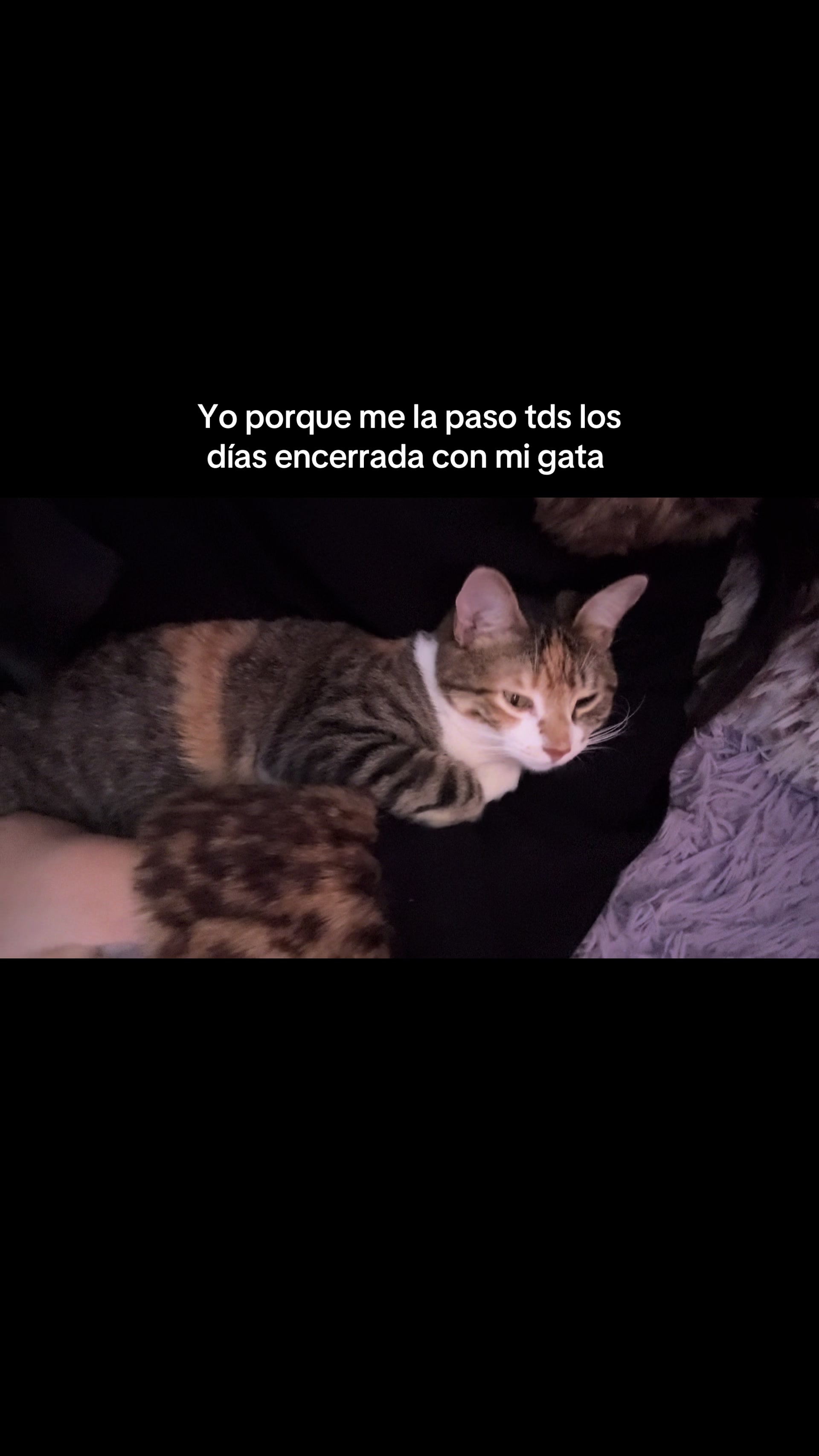 @obsesi&oacute;nporti:3