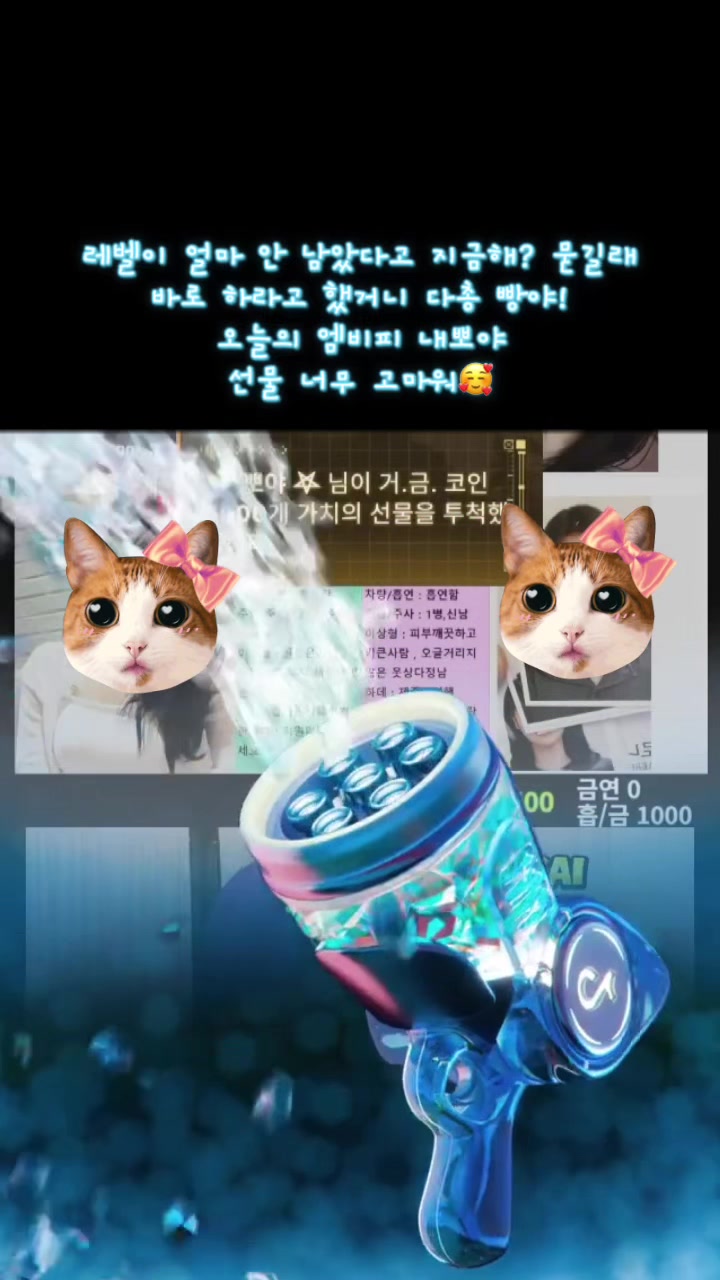@๐ธ ๊ณต์นด์ด