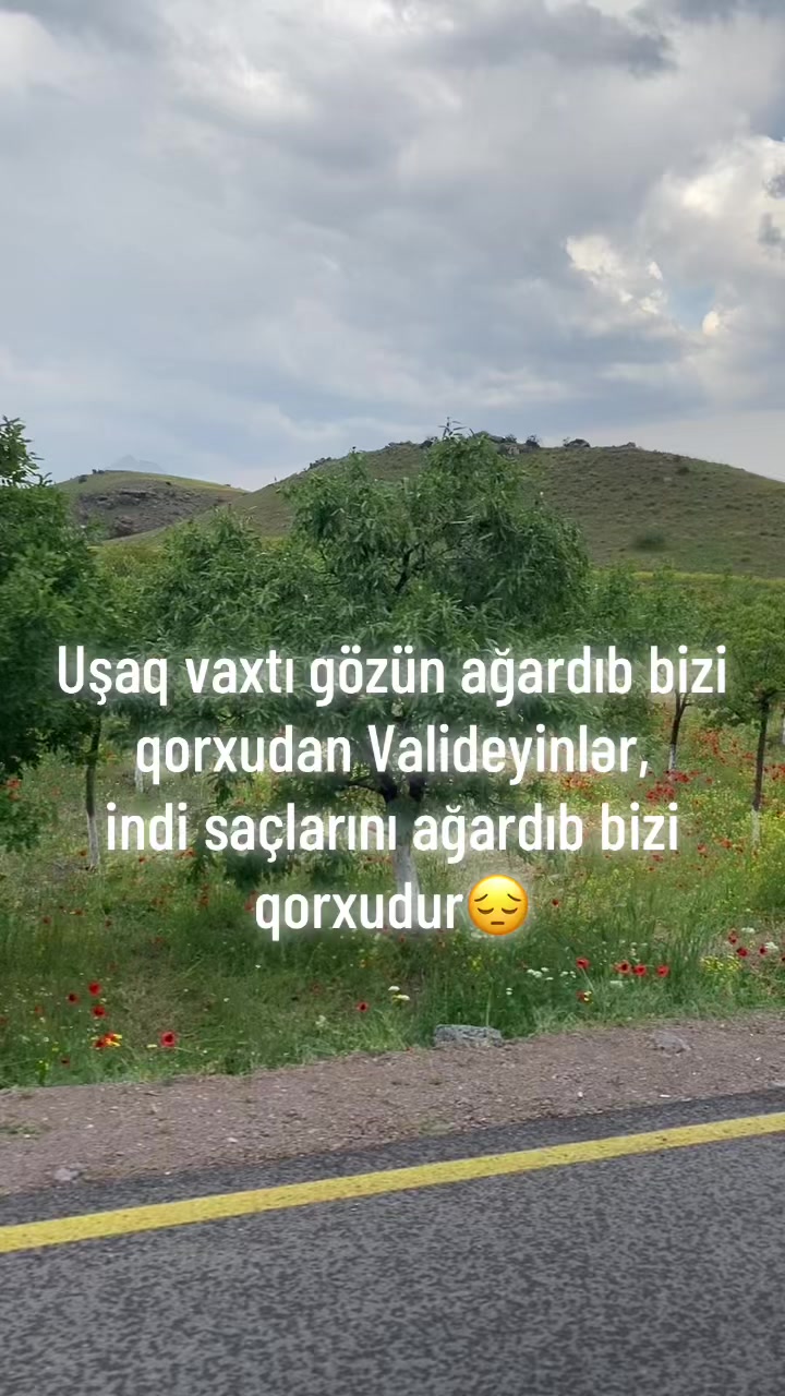 @_gulu_313