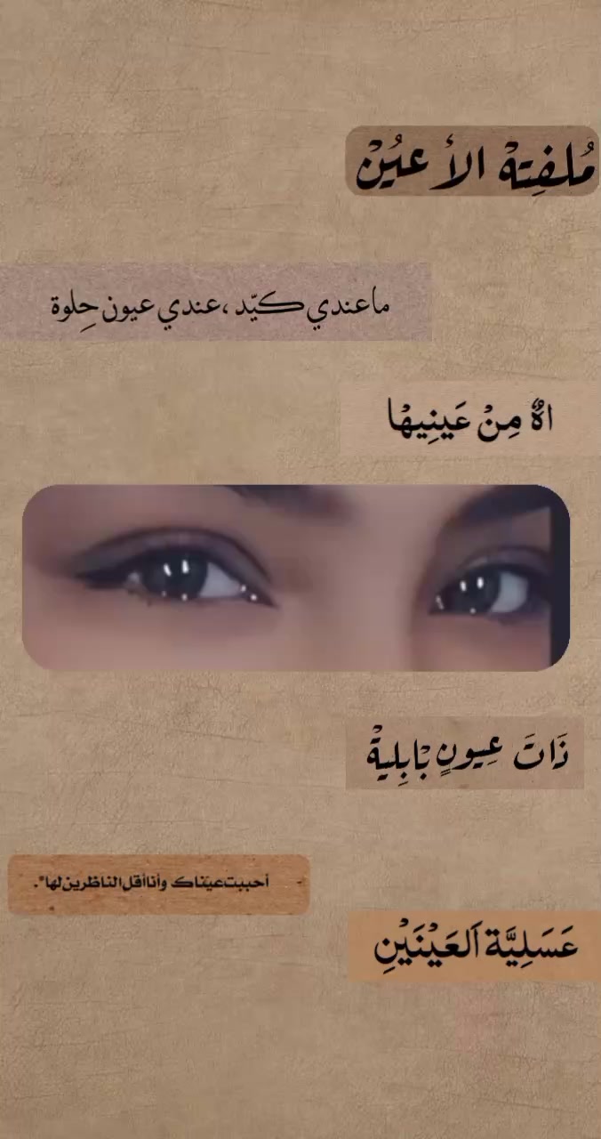 @haidy elsayed