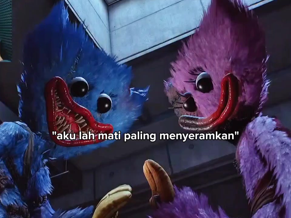 @biru_zef$