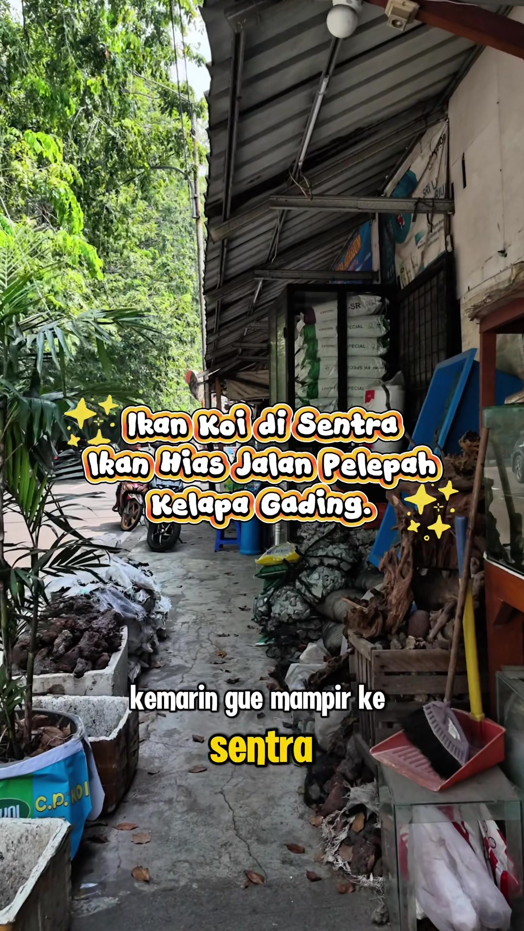 @Piara ikan di galon