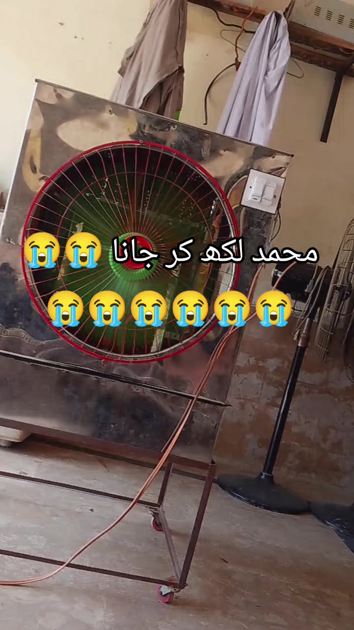 @<'پاگل' ہو >🦋