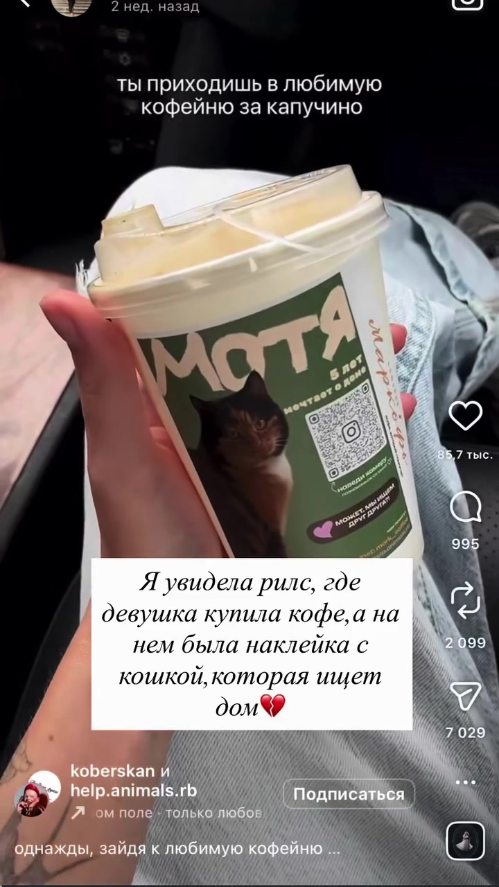 @Lina_bounty