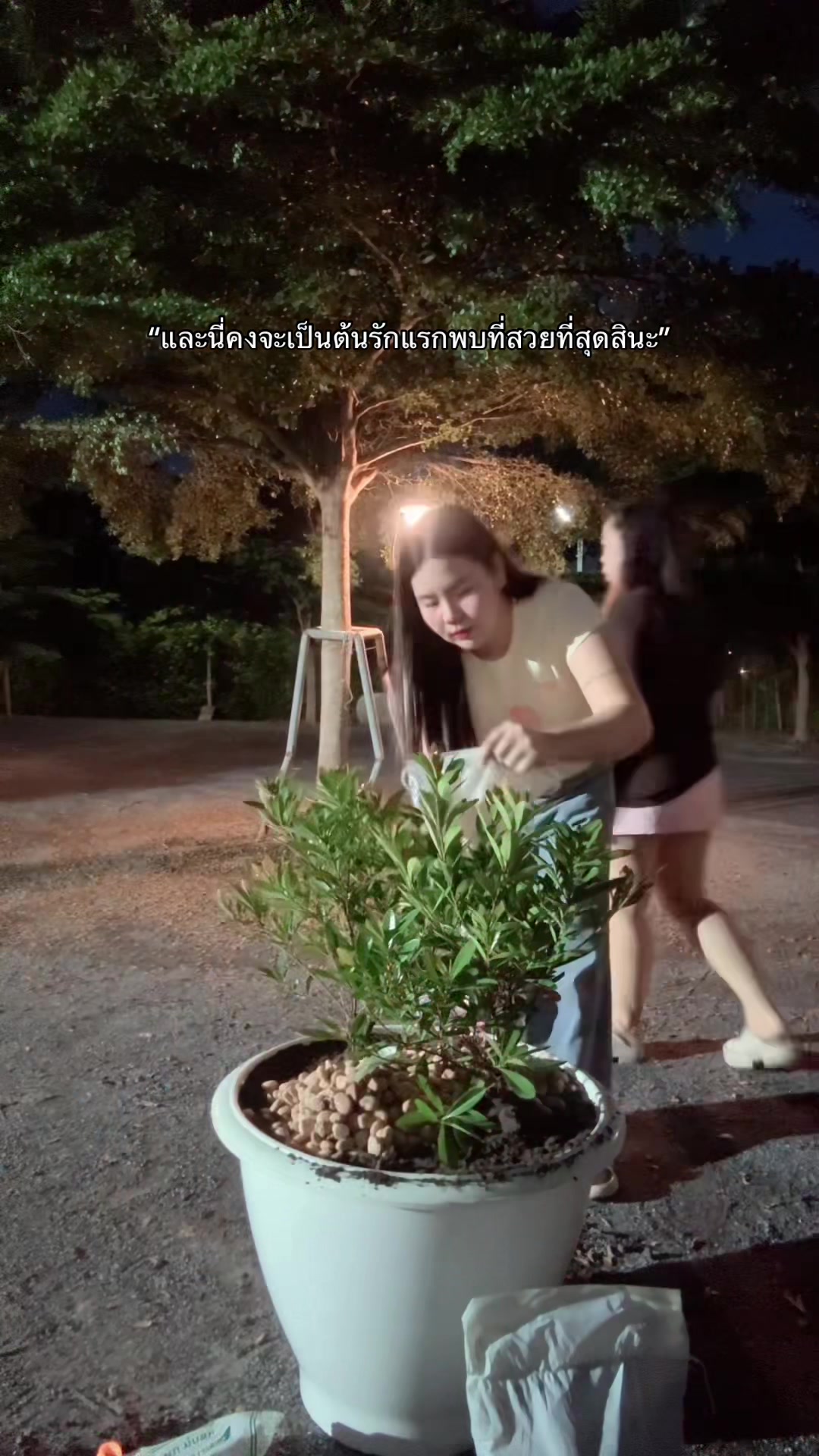 @นัทเกิดมาเพื่อเต้น 🌷🐰