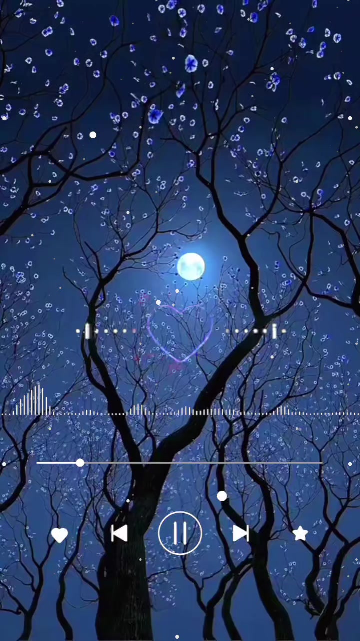 @muktar