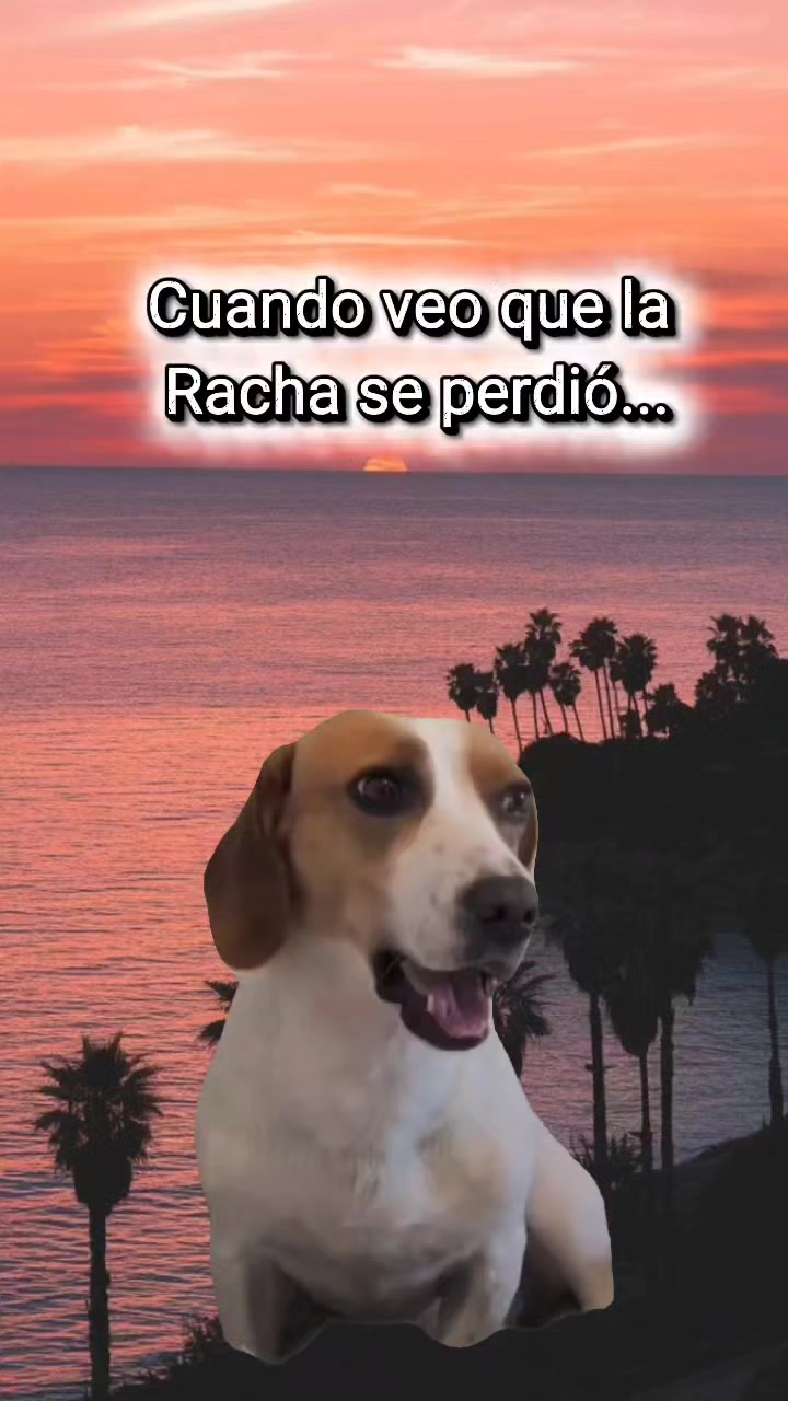 @🦋LUNA🔥_🇧🇴🇦🇷🎧