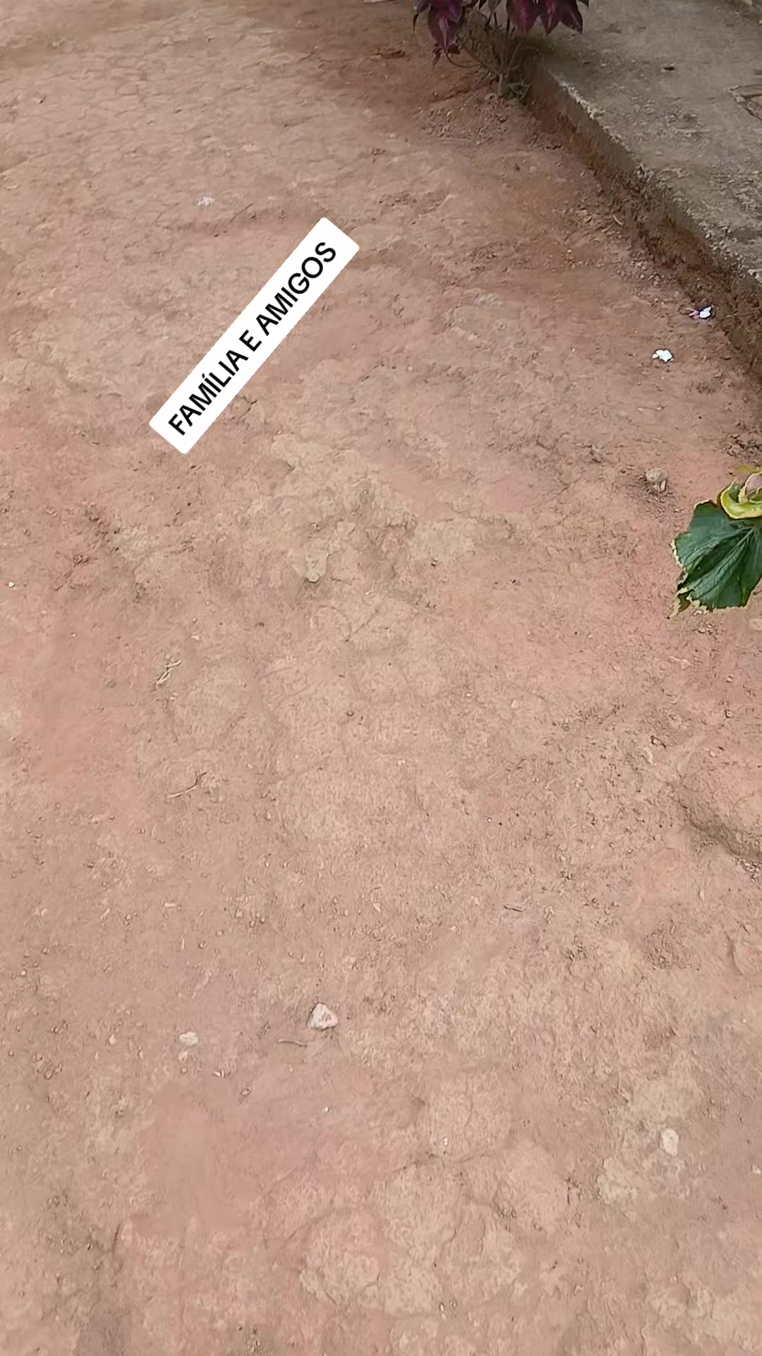 @Leandro Miranda