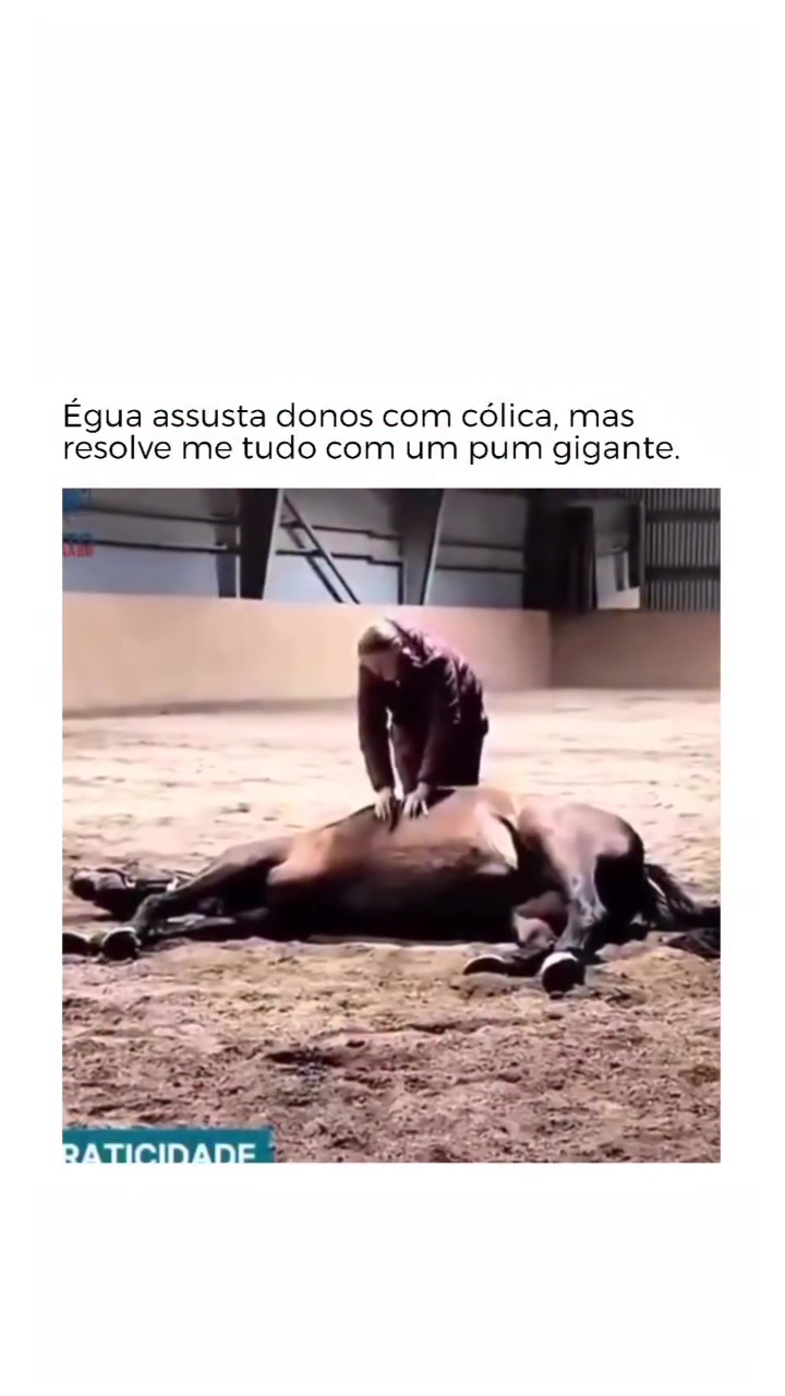 @evoluaproposito
