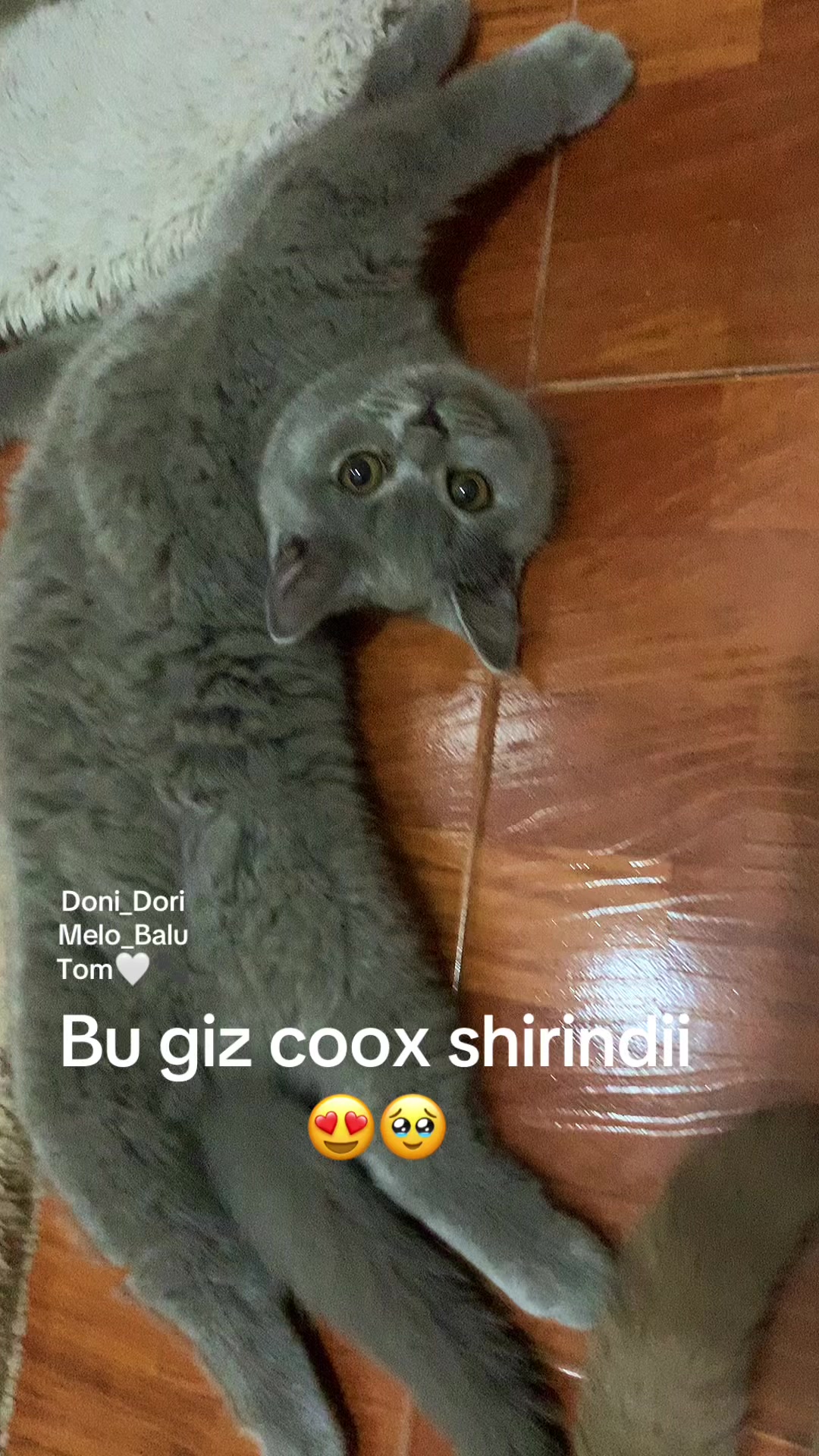 @doni_dori_melo_balu🤍🐾