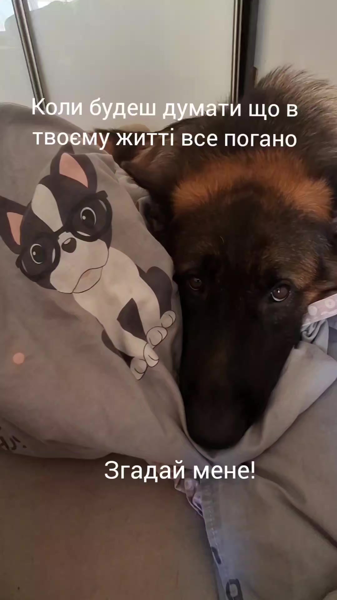 @МАТЬ ДРАКОНІВ🤣