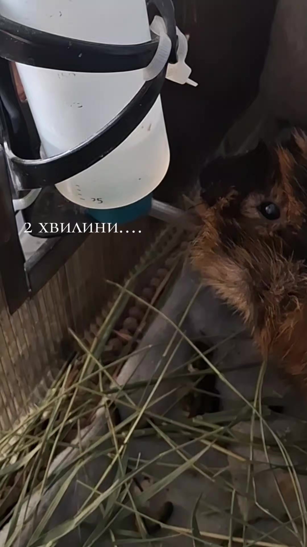 @МАТЬ ДРАКОНІВ🤣