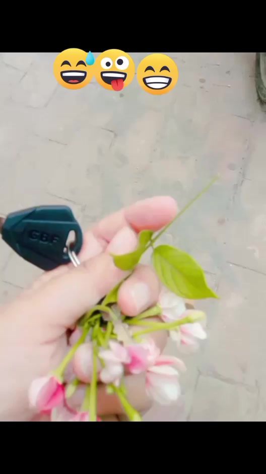 @Rami kohati