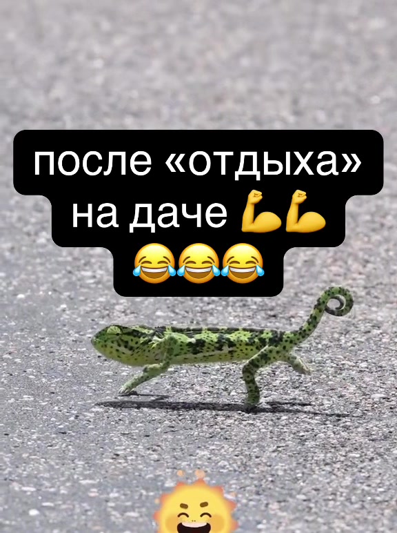 @VVP