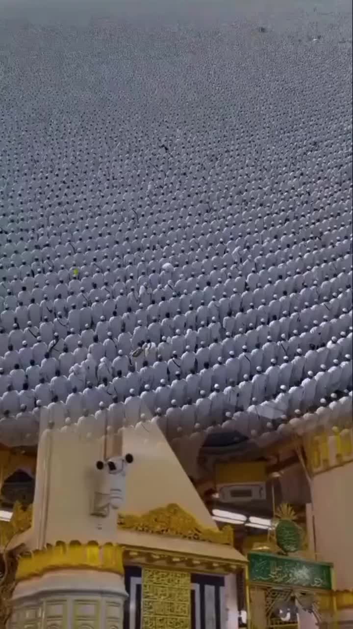 @NAZMA🤲নবীর প্রেমের পাগল আমি