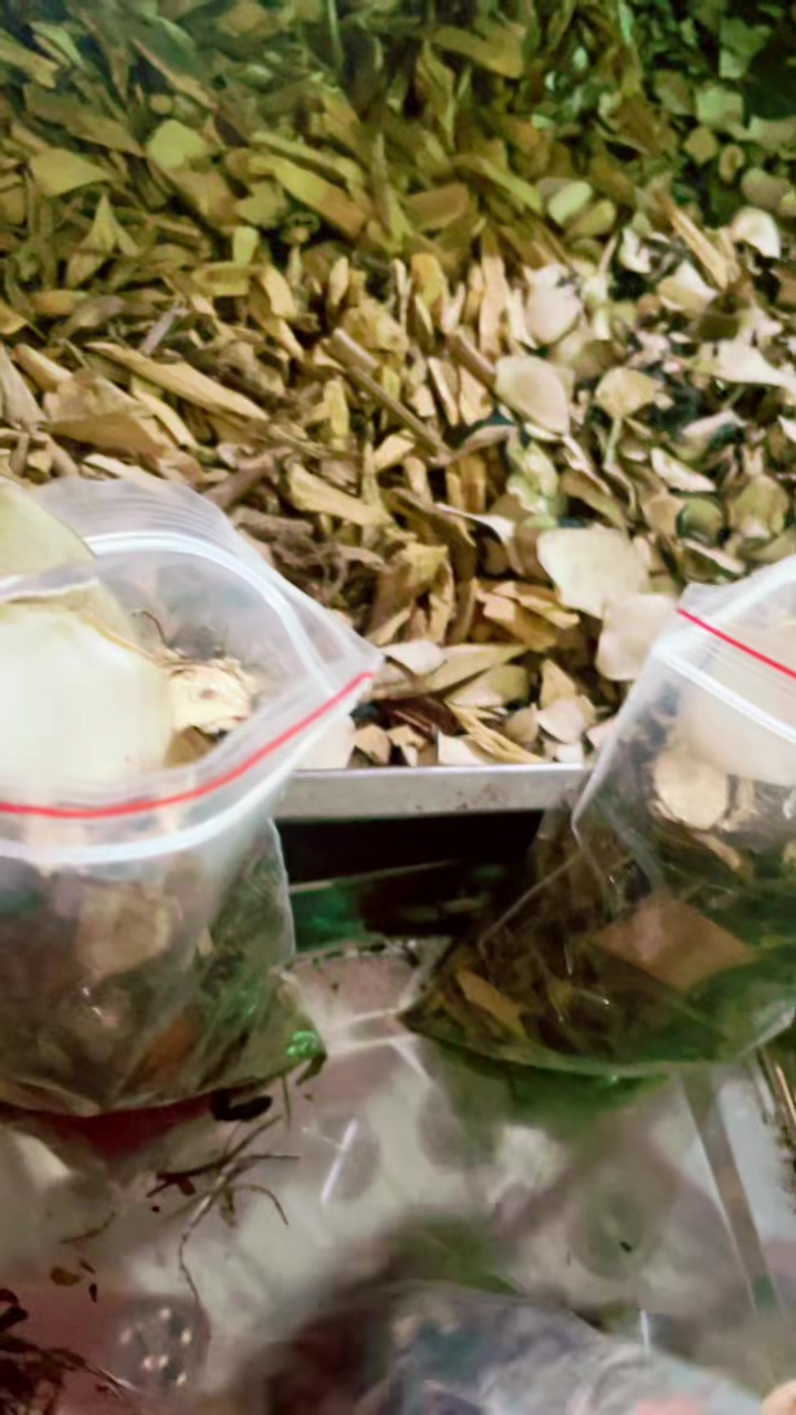 @តា បេ ស្ដេច តែសុខភាព❤️🇰🇭