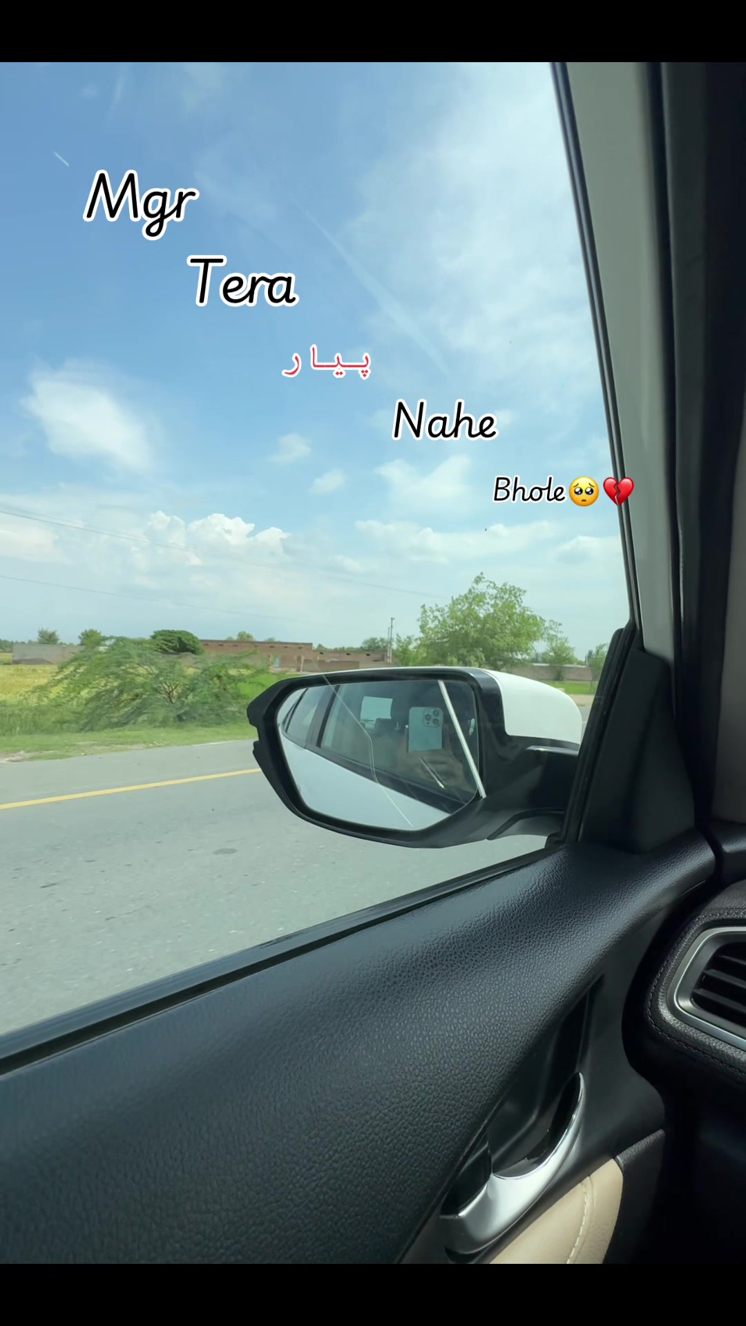 @🕊️