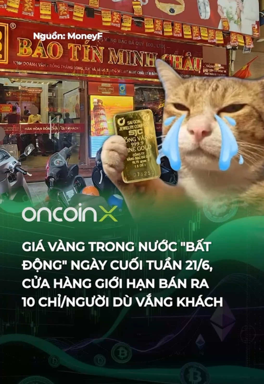 @Oncoin X