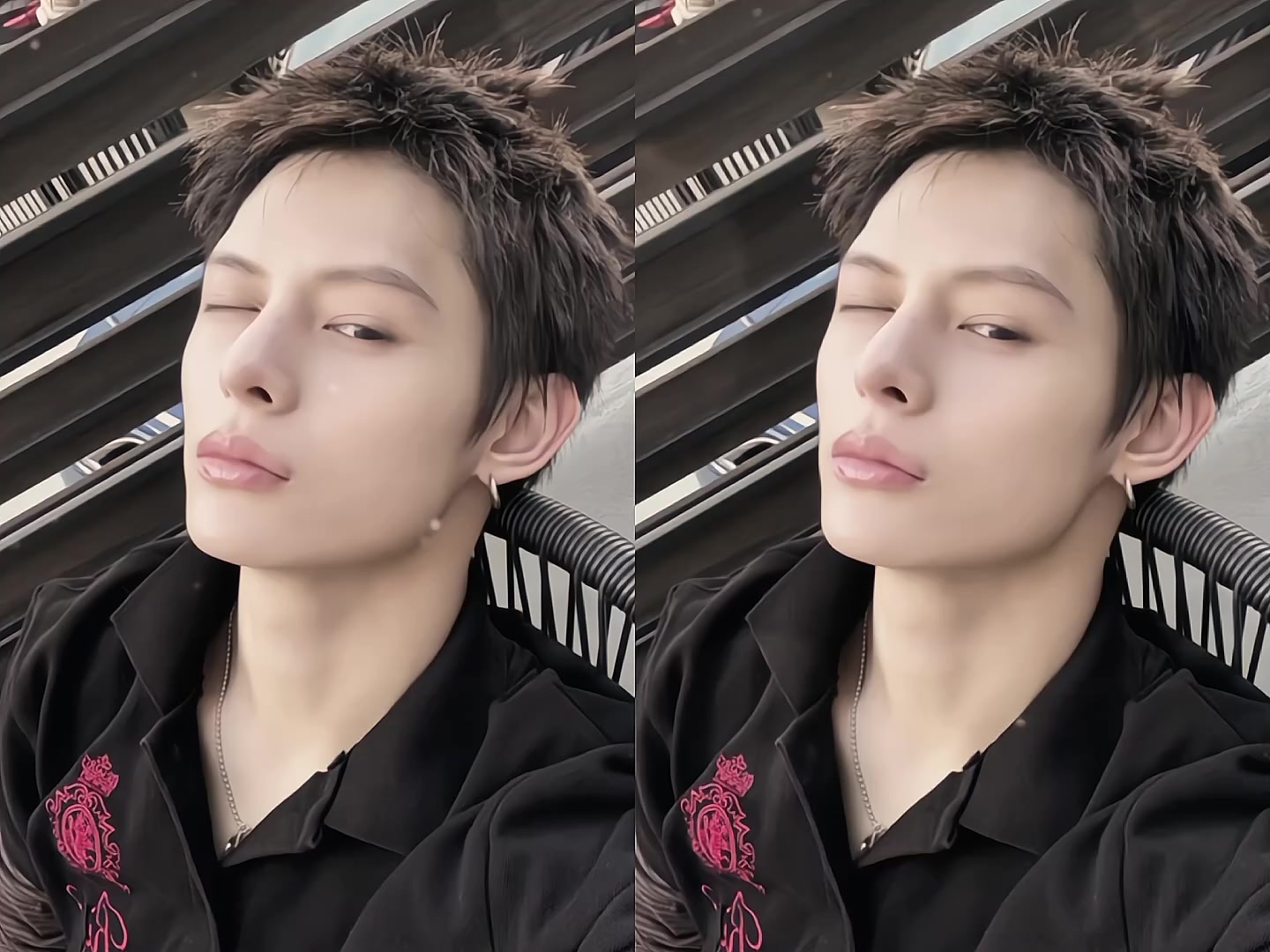 @Cỏ T&iacute;🦅🐕&zwj;🦺🐢🦊🐶