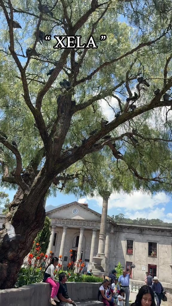 @Puac.gonzalez502🇬🇹