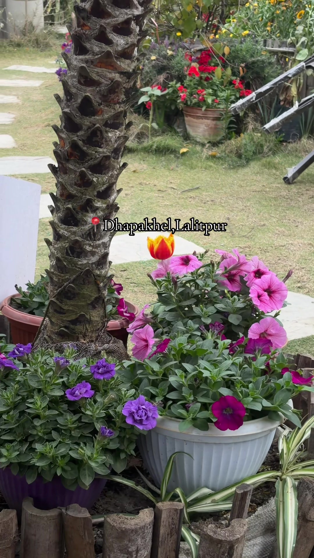 @Newprakritigarden