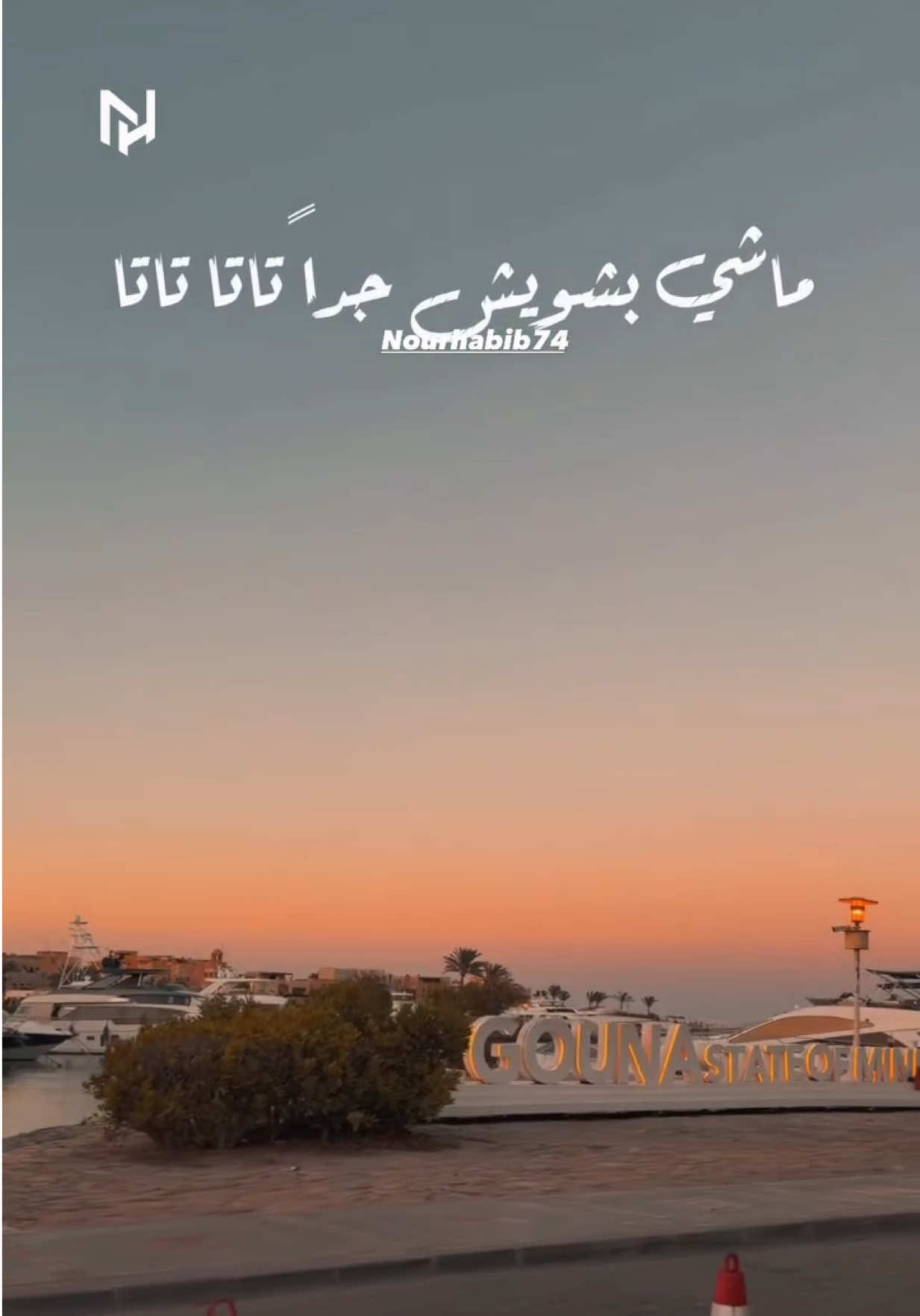 @NourHabib74