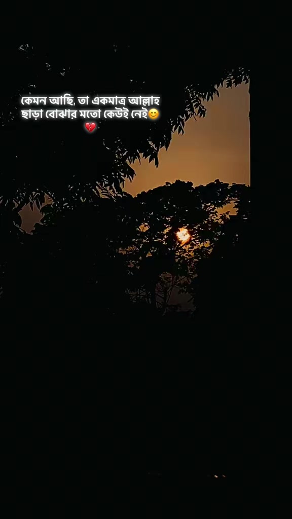 @đ¸đĻâī¸shimulbagan_1âī¸đ¸đĻ