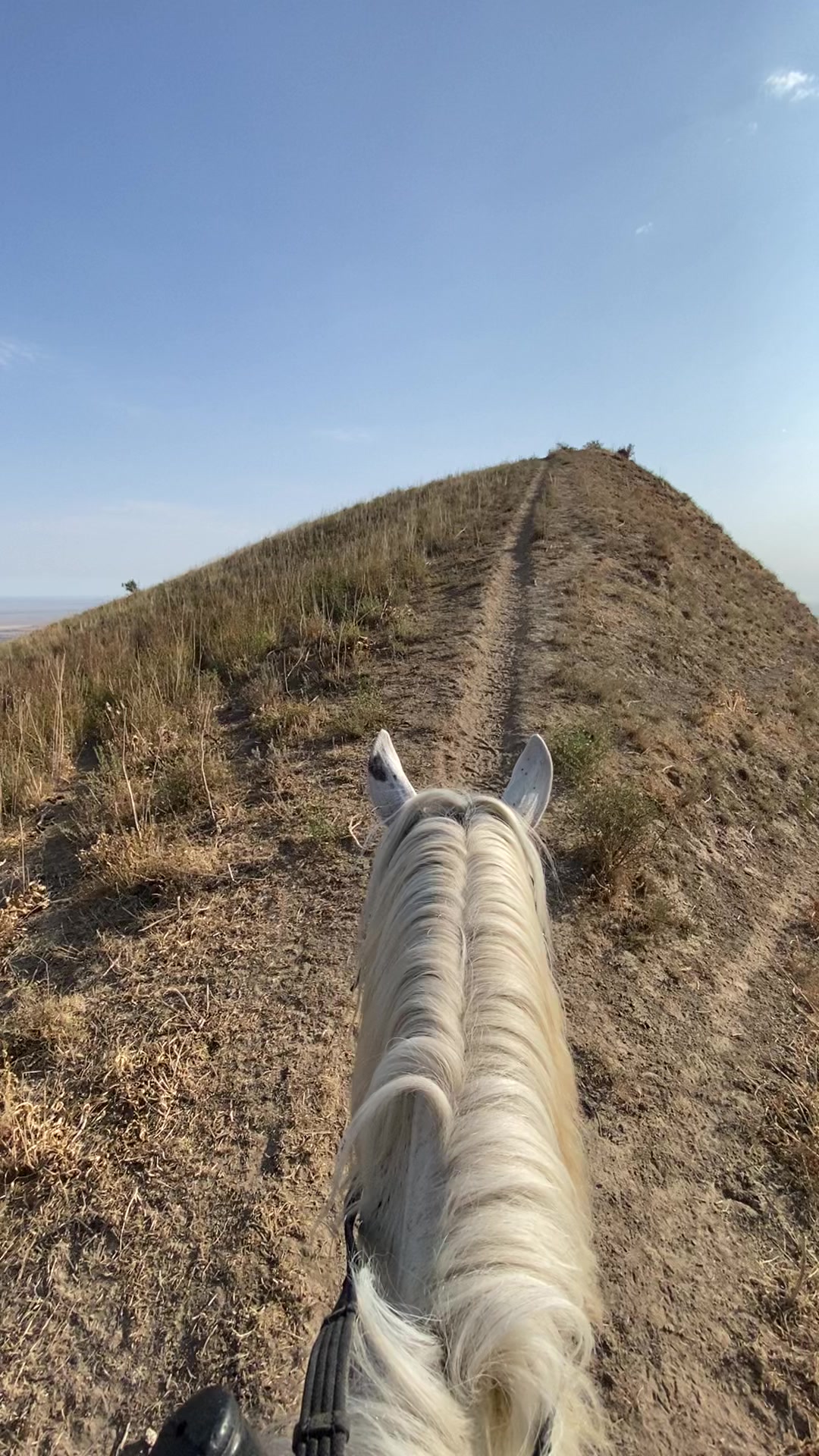 @jockey.hors