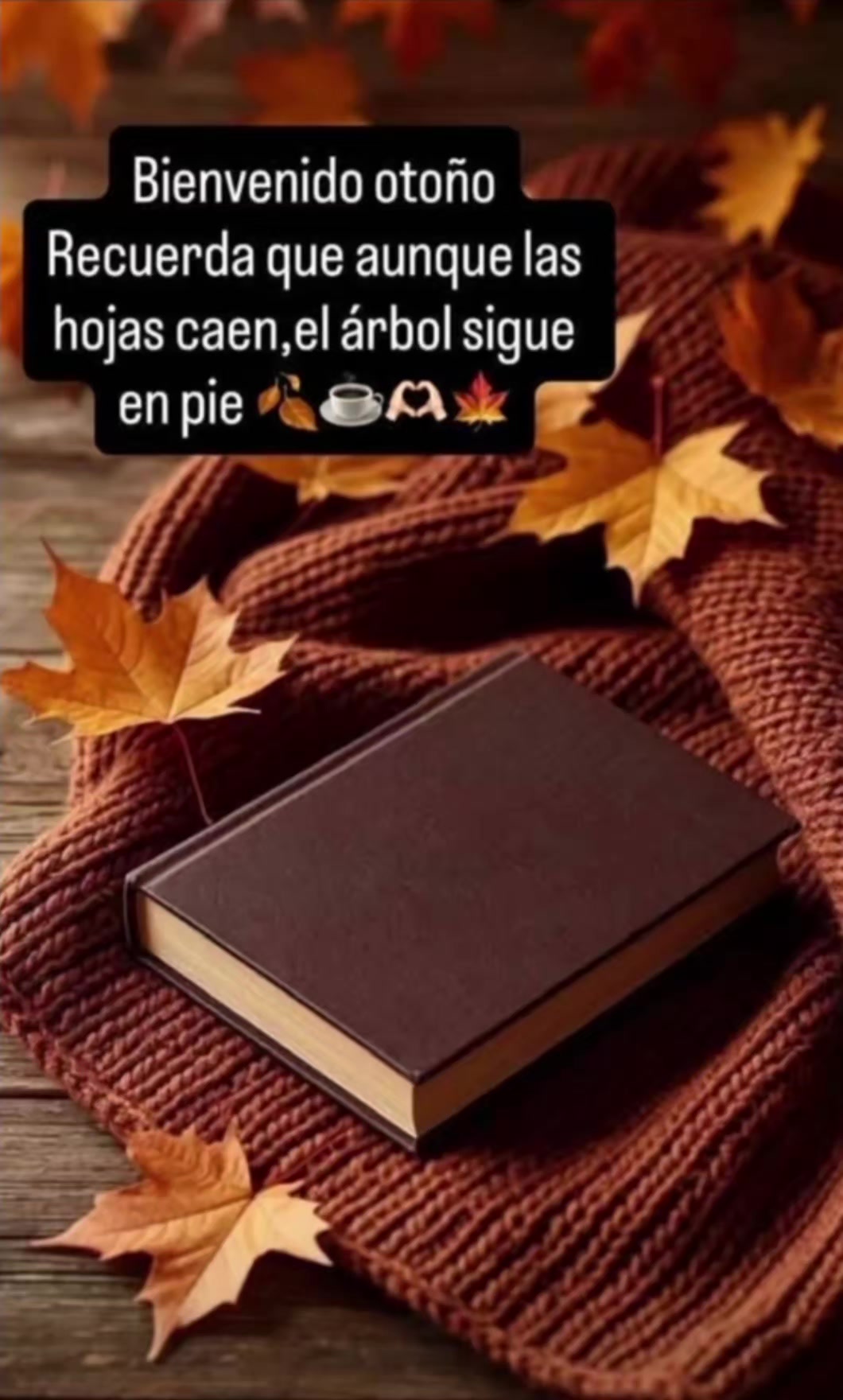 @jenny