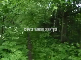 @фантасмагория