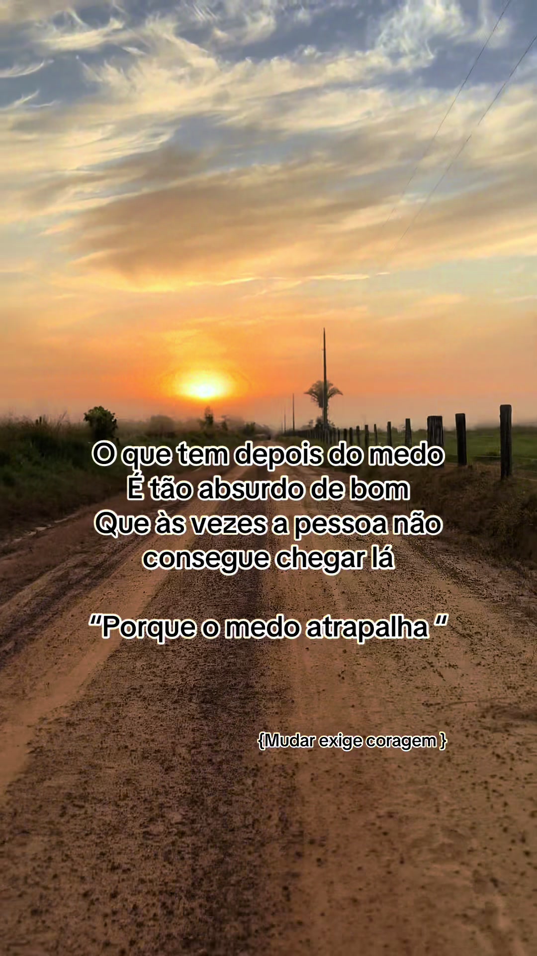 @lukasvieira_🍀